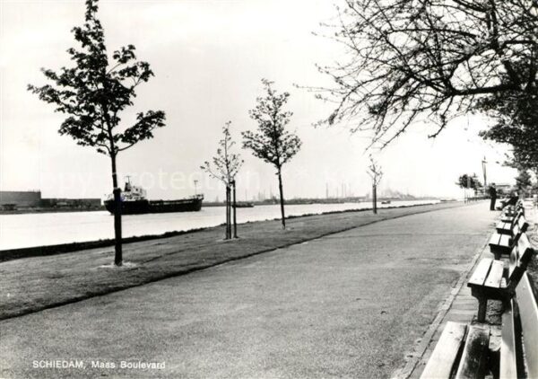 Schiedam Maas Boulevard
