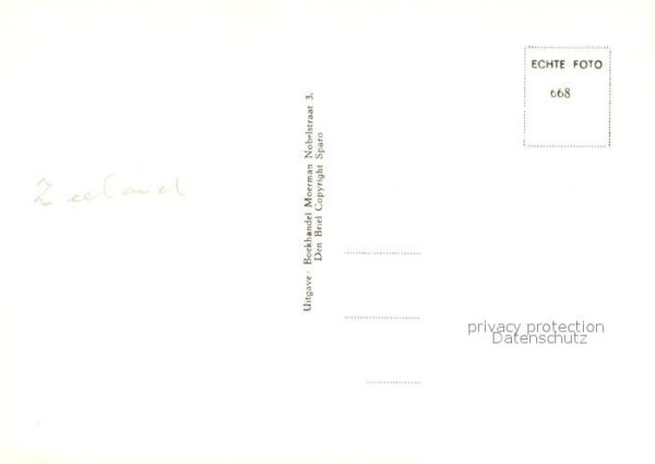 Maarland Den Briel – Bild 2