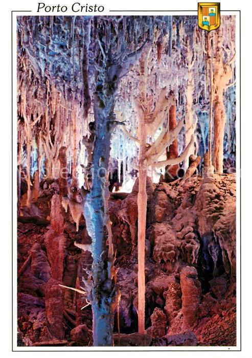 Hoehlen Caves Grottes Mallorca Porto Cristo Cuevas dels Hams