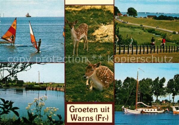 Warns Hafen Damwild Surfer Fahrradfahrer