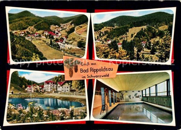 Bad Rippoldsau Schwarzwald Hallenbad Park See Panoramen