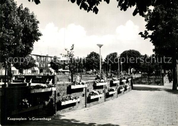 Gravenhage Kaapseplein