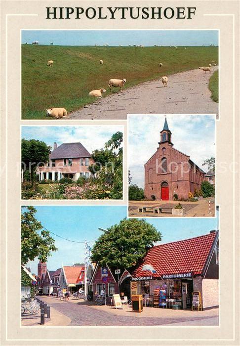 Hippolytushoef Kirche Schafe Panorama