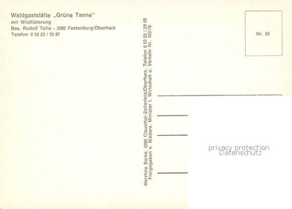 Festenburg Clausthal-Zellerfeld Fliegeraufnahme Waldgaststätte Grüne Ta – Bild 2