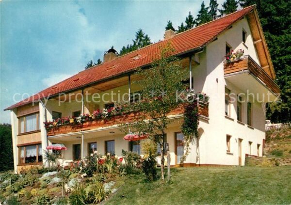 Neuhaus Solling Fohlenplacken Waldcafe Pension Rübezahl
