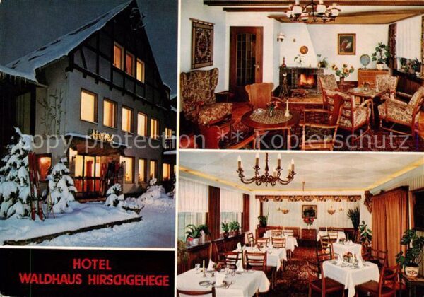 Kirchhundem Hotel Waldhaus Hirschgehege