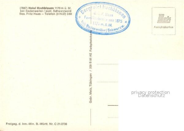 Badenweiler Fliegeraufnahme Hotel Hochblauen – Bild 2