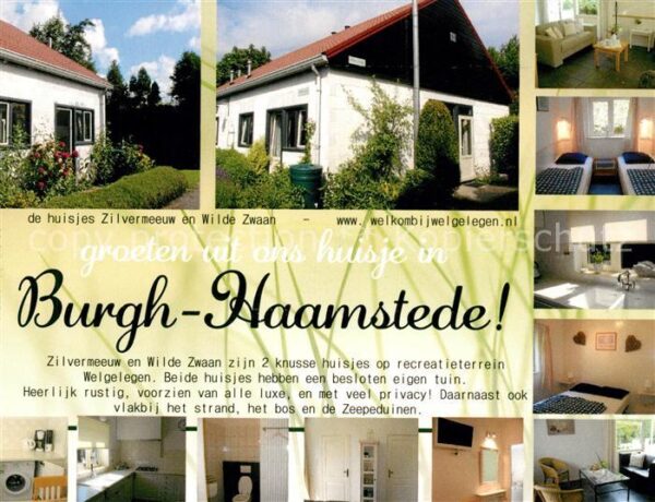 Burgh Haamstede Wilde Zwaan
