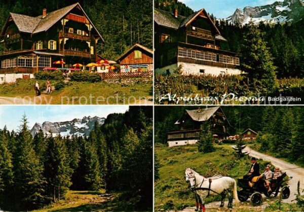 Badgastein Alpenhaus Prossau Pferdekutsche Panoram