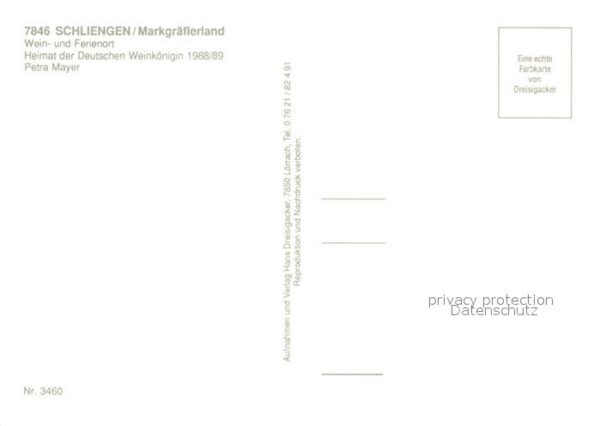 Schliengen Weingut Fliegeraufnahme – Bild 2