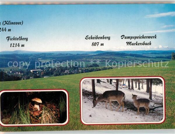 Poehlberg Bärenstein Annaberg-Buchholz