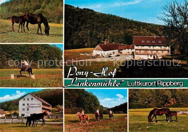 Rippberg Ponyhof Linkenmühle