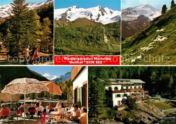 Martelltal Gasthof Zum See Schafherde