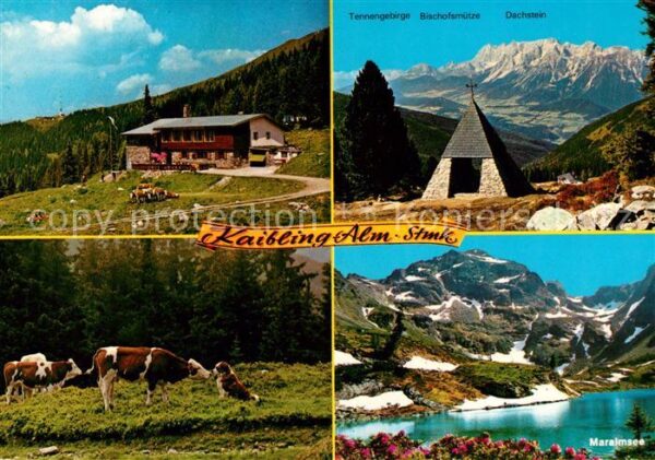 Haus Ennstal Naturfreunde Schutzhaus Kaiblingalm