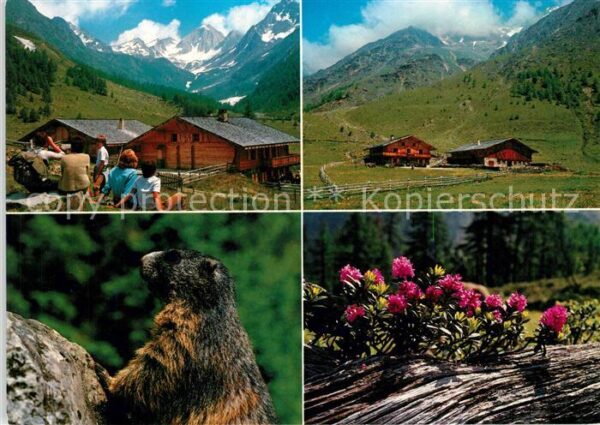 Schnals Bozen Suedtirol Eishof Alm