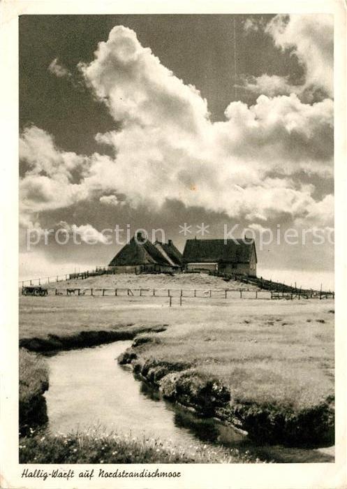 Halligen Nordsee Warft Gehöft