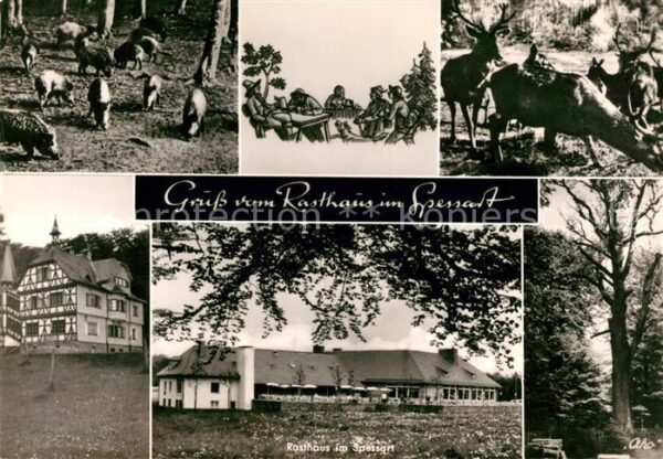 Rohrbrunn Rasthaus im Spessart Wildschweine Hirsc