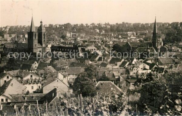 Neustadt Haardt Panorama
