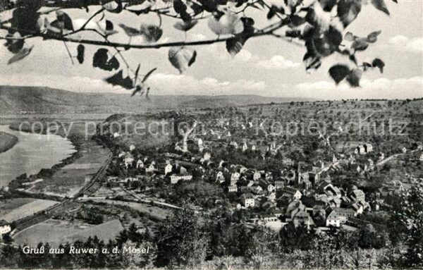 Ruwer Trier Panorama