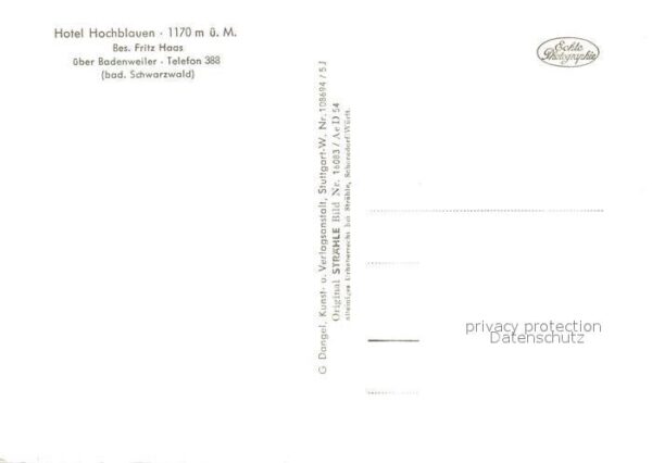 Badenweiler Fliegeraufnahme Hotel Hochblauen – Bild 2