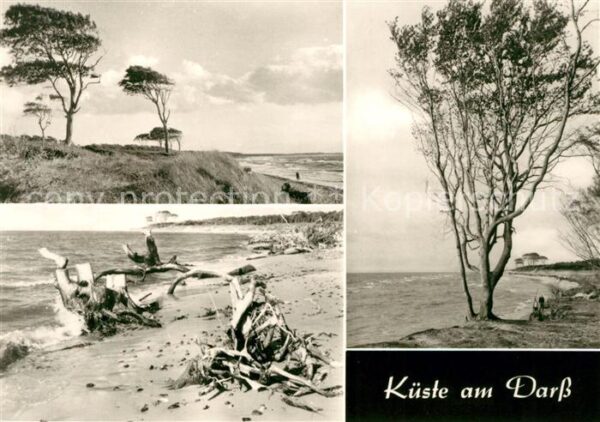 Darss Zingst Strand Küste