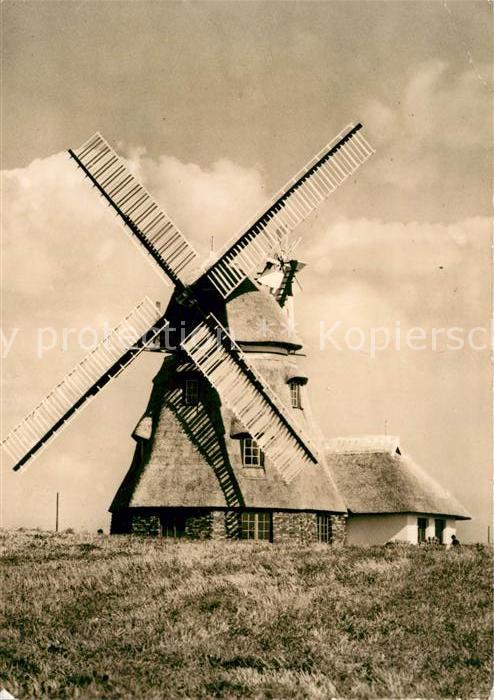 Gross Stieten VEG Tierzucht Windmühle Restaurant Meck
