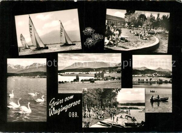 Traunstein Oberbayern Wagingersee Schwäne Boote Badestelle