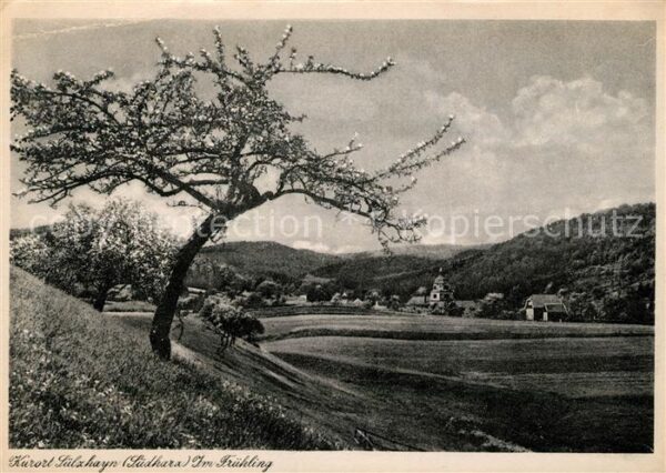 Suelzhayn Südharz im Frühling