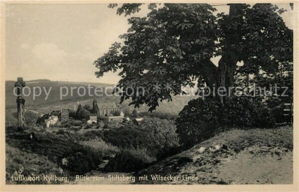 Kyllburg Rheinland-Pfalz Stiftsberg Wilsecker Linde