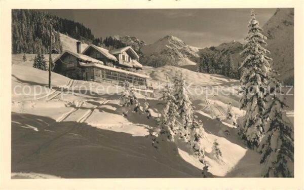 Wildental Winterlandschaft