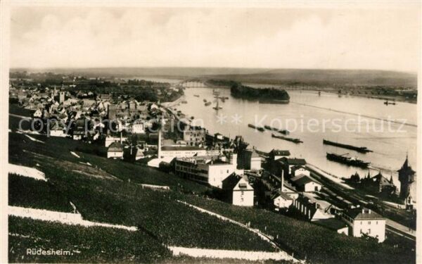 Ruedesheim Rhein Panorama