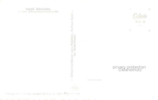 Buehl Baden Schloss Bühlerhöhe Fliegeraufnahme – Bild 2