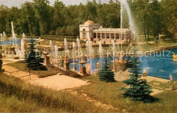Petrodvorets St Petersburg View of the Pool and the Fountain Colon