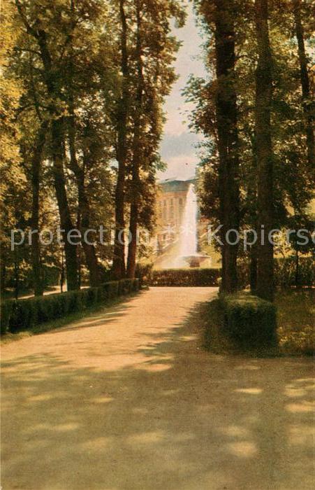 Petrodvorets St Petersburg Alley in the park In the distance Great