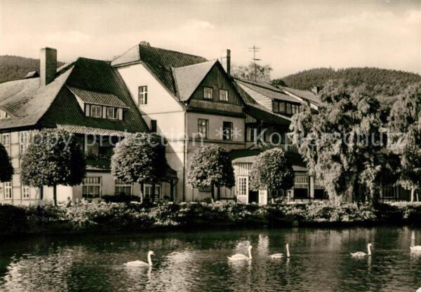 Ilsenburg Harz Forellenteich Schwäne