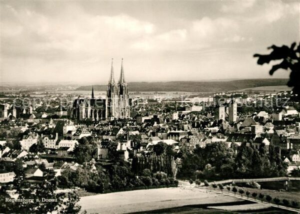 Regensburg Dom Panorama
