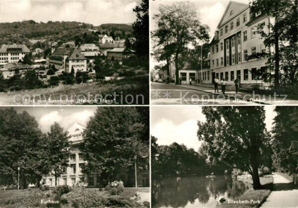 Bad Liebenstein Sanatorien Heinrich Mann Hugo Gefroi Ku