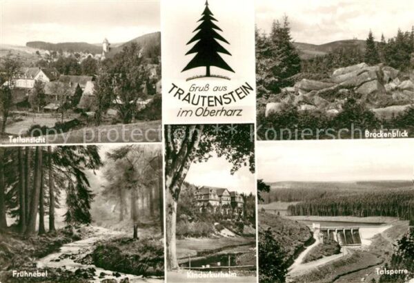 Trautenstein Harz Frühnebel Brockenblick Talsperre Kinder