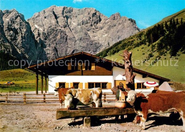 Hinterriss Tirol Rasthütte Eng Alm mit Karwendel und Vie