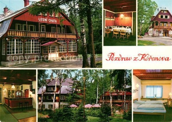 Korenov Lesni Chata Gaststube Bar Zimmer