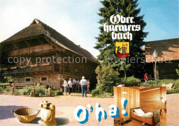 Oberharmersbach Museum Alte Mühle und Hist Kornspeicher