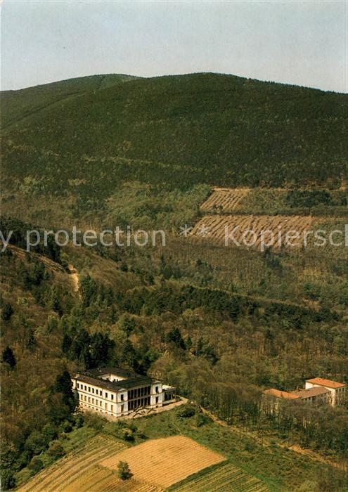 Edenkoben Schloss Villa Ludwigshöhe Fliegeraufnah