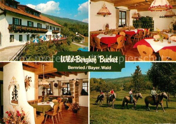 Bernried Niederbayern Wild Berghof Buchet Gasträume Reiten