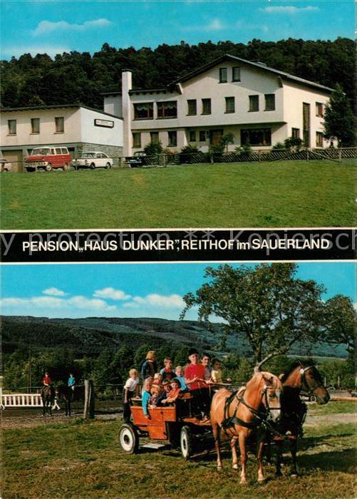 Hellefeld Pension Haus Dunker Reithof Pferdewagen