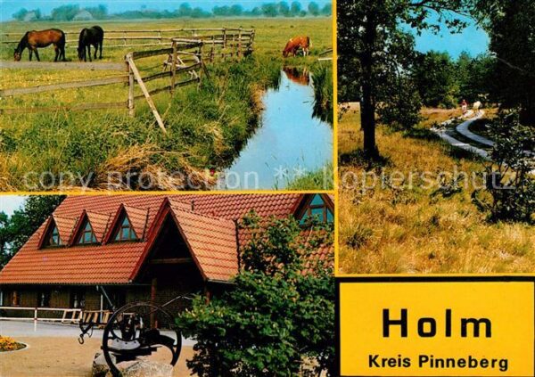Holm Holstein Marsch Dorfgemeinschaftshus Holmer Sand