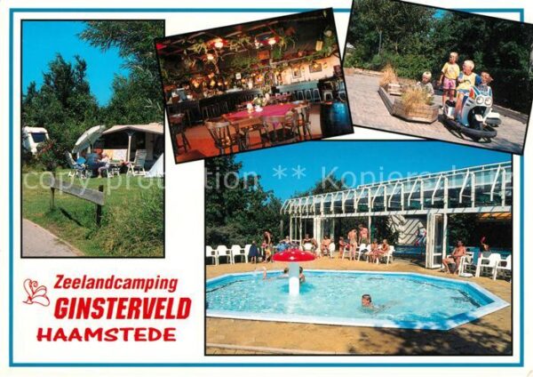 Haamstede Zeelandcamping Swimmingpool Restaurant