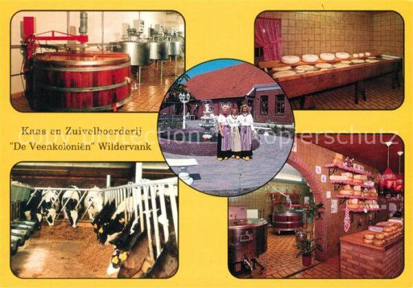 Wildervank Kaas en Zuivelboerderij De Veenkolonien