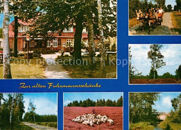 Eversen Celle Zur alten Fuhrmannsschänke Pferdewagen