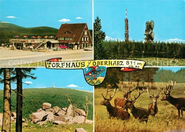 Torfhaus Harz Sporthotel Brockenblick Sendeanlagen Wi