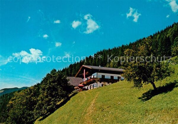 Piesendorf Almwirtschaft Hochmaurach